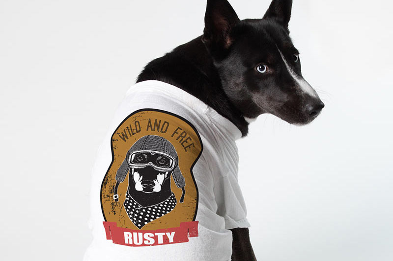 Mastiff Dog T Shirt HEAT PRESS TRANSFER for T Shirt Tote Sweatshirt Fabric #880b 