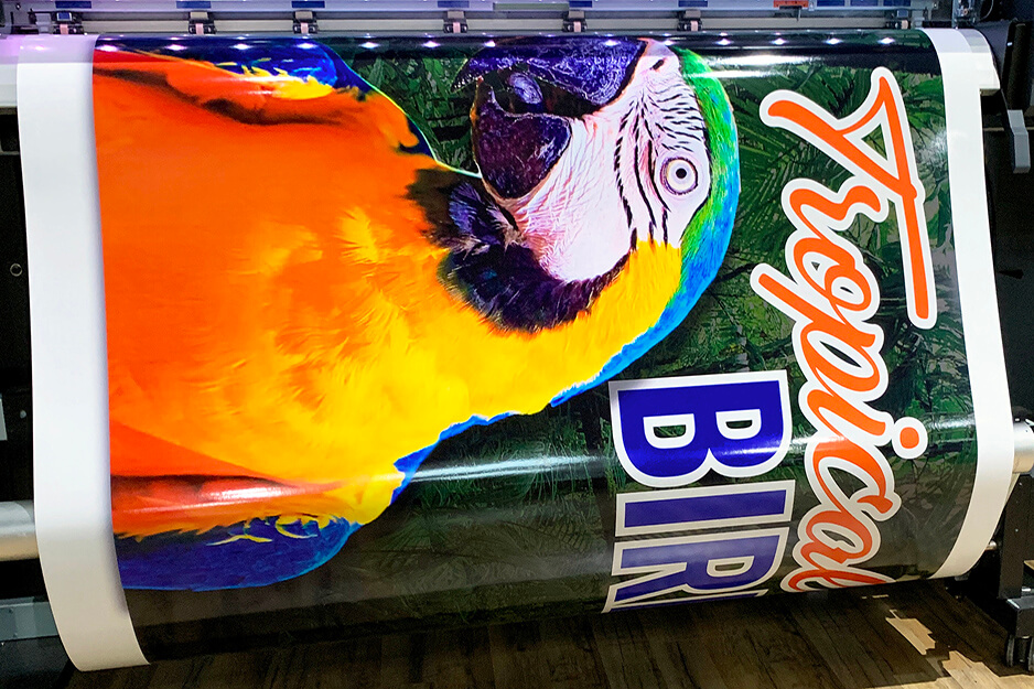 Colorful tropical bird graphics printing on a Roland DG TrueVIS VG2 wide-format printer/cutter.